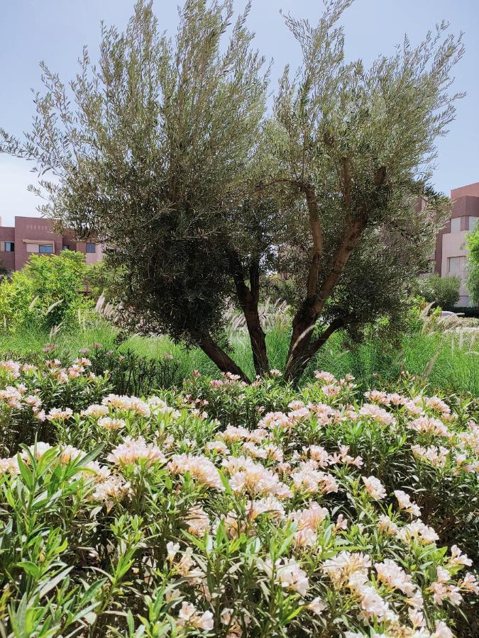 Prestigia Marrakech Dar Cheryana 마라케시 외부 사진